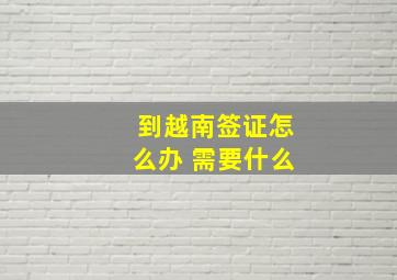 到越南签证怎么办 需要什么